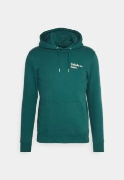 Hoodie Balade En Forêt Unisex - Sweater - Glazed Green -Algemene Winkel Voor Herenmode 13aa8bfdb6b34ba18b71b0426f8393da