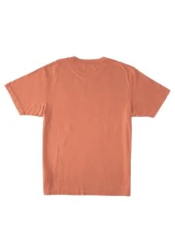 DC SHOES Star Pigment Dye - T-Shirt Print - Orange -Algemene Winkel Voor Herenmode 1a6f53de30224d368a075edd95445e6e