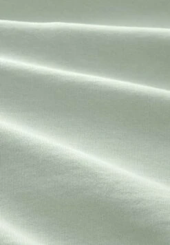 TOM TAILOR Denim Basic- Trainingsbroek - Placid Green 15 TOM TAILOR Denim Basic- Trainingsbroek - Placid Green -Algemene Winkel Voor Herenmode 2f6c77db3f354537ab29bf0df5b502a3