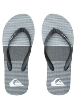 Quiksilver Molokai Tijuana- Pantoffels - Grey -Algemene Winkel Voor Herenmode 4bba36eaca0b47aebb4369d5d9153d8f