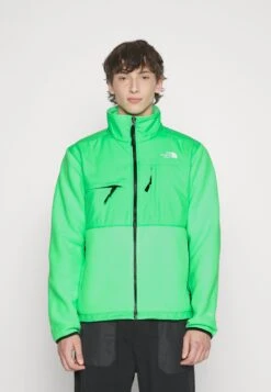 The North Face Denali Jacket - Fleecejas - Chlorophyll Green -Algemene Winkel Voor Herenmode 520f0ca0393149529002b4fc473ba578