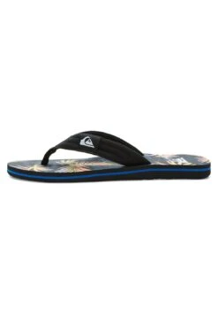 Quiksilver Molokai Layback - Teensandalen - Blue/Pink