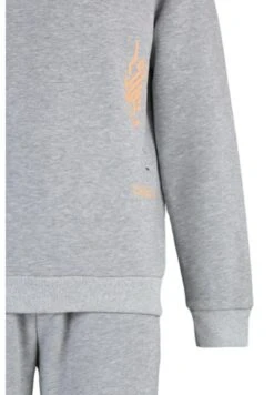 Trendyol Set- Trainingspak - Grey -Algemene Winkel Voor Herenmode 675ea3770e30483e93f27331aa3e3d3e