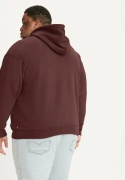 Levi's® Plus Relaxed Graphic Poster - Hoodie - Neutrals 5 Levi's® Plus Relaxed Graphic Poster - Hoodie - Neutrals -Algemene Winkel Voor Herenmode 8ca06fec25f343eca0c930dc2e196665