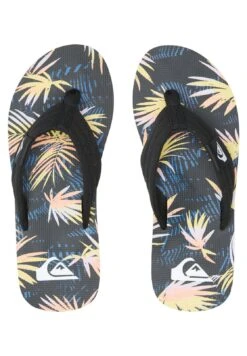 Quiksilver Molokai Layback - Teensandalen - Blue/Pink -Algemene Winkel Voor Herenmode a532233ec8344f68b1c27c4da8a22cc2