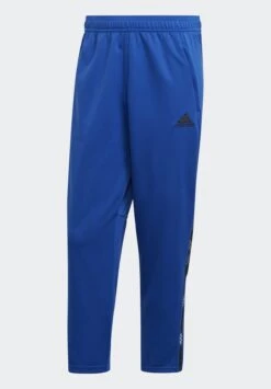 ADIDAS PERFORMANCE Away Days - Trainingsbroek - Team Royal Blue/Black -Algemene Winkel Voor Herenmode a887120c5fdc4a5bae98e3e9271a434a