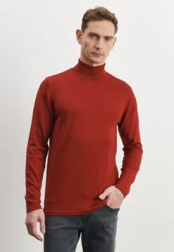 Standard Fit - Trui - Red -Algemene Winkel Voor Herenmode bf190a7a39e14313abeee5c02da9c78c