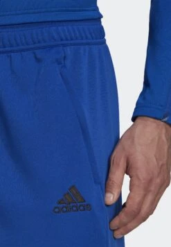 ADIDAS PERFORMANCE Away Days - Trainingsbroek - Team Royal Blue/Black -Algemene Winkel Voor Herenmode bfe62e7a72b840f3b828b03a5ee22af7