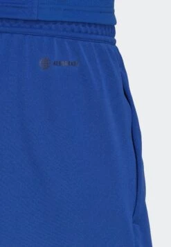 ADIDAS PERFORMANCE Away Days - Trainingsbroek - Team Royal Blue/Black -Algemene Winkel Voor Herenmode c3301dec987047969ebbc709f1e9c75c
