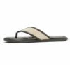 Aldo Thong Jeric - Teensandalen - Bone -Algemene Winkel Voor Herenmode defb5b77526b43c59767e2be34a8a524
